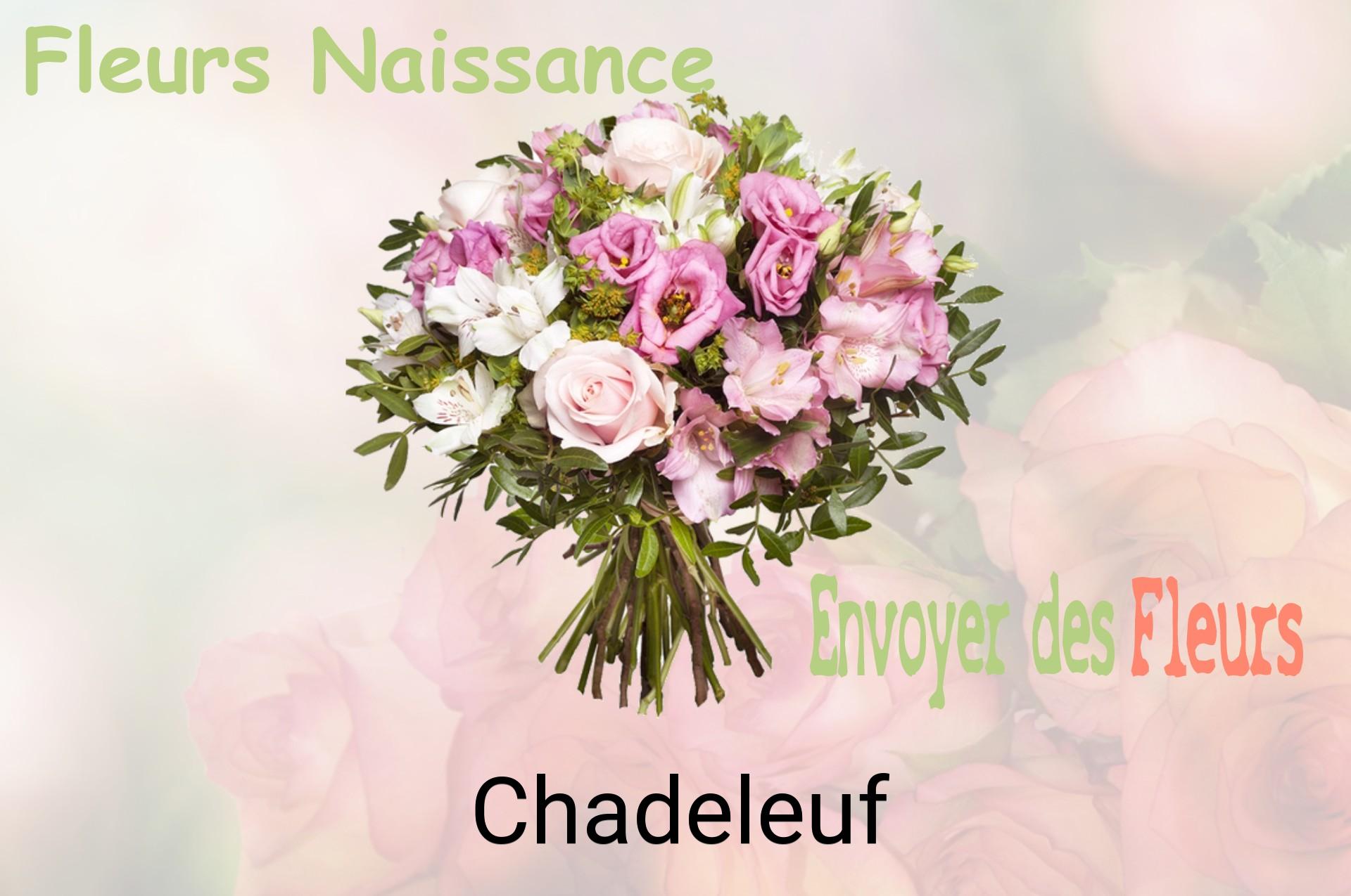 Bouquet de fleurs de naissance livré à Chadeleuf