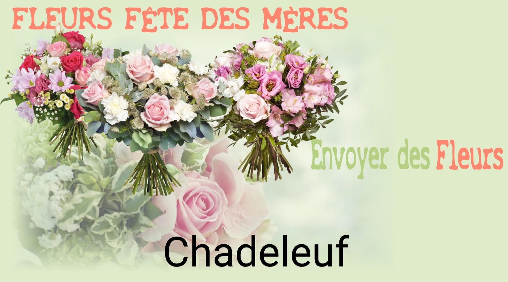 Bouquet de Fête des Mères livré à Chadeleuf